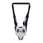 Oso Panda